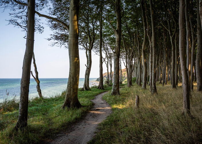 Ostseebad Baabe